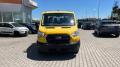 usato FORD Transit
