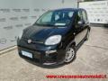 usato FIAT Panda