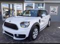 usato MINI Countryman