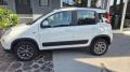 usato FIAT Panda
