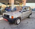 usato FIAT Panda