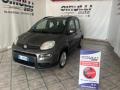 usato FIAT Panda