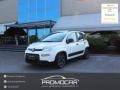 usato FIAT Panda