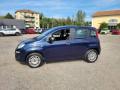 usato FIAT Panda