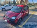 usato FIAT Panda Cross
