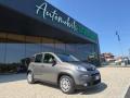 usato FIAT New Panda