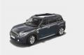 usato MINI Countryman