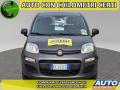 usato FIAT Panda