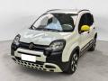 usato FIAT Panda Cross