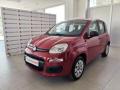 usato FIAT Panda