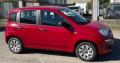 usato FIAT Panda