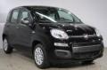 usato FIAT Panda