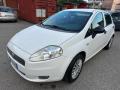 usato FIAT Grande Punto