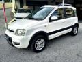 usato FIAT Panda