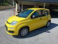 nuovo FIAT Panda
