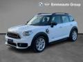 usato MINI Countryman