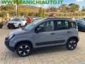 usato FIAT Panda Cross