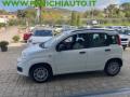 usato FIAT Panda