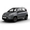 usato FIAT Panda