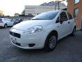 usato FIAT Punto