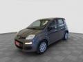 usato FIAT Panda