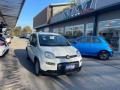 usato FIAT Panda