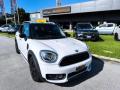 usato MINI Countryman