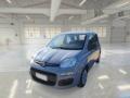 usato FIAT Panda