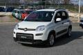 usato FIAT Panda