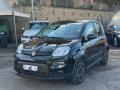 usato FIAT Panda