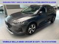 usato FORD Focus