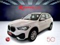 usato BMW X1