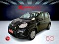 usato FIAT Panda