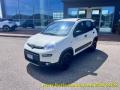 usato FIAT Panda