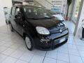usato FIAT Panda