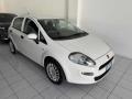usato FIAT Punto