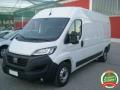 usato FIAT Ducato