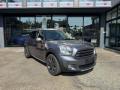 usato MINI Countryman