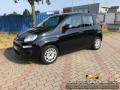 usato FIAT Panda