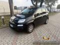 usato FIAT Panda