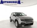 usato JEEP Avenger