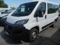 usato FIAT Ducato