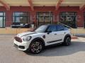 usato MINI Countryman