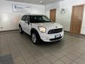 usato MINI Countryman