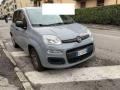 usato FIAT Panda