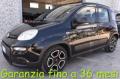 usato FIAT Panda