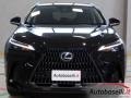 usato LEXUS NX 300h