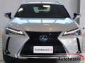 usato LEXUS UX 250h